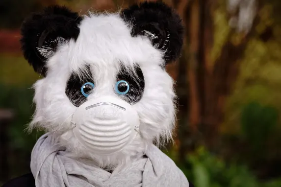 Vegadream Casino Stuðningur